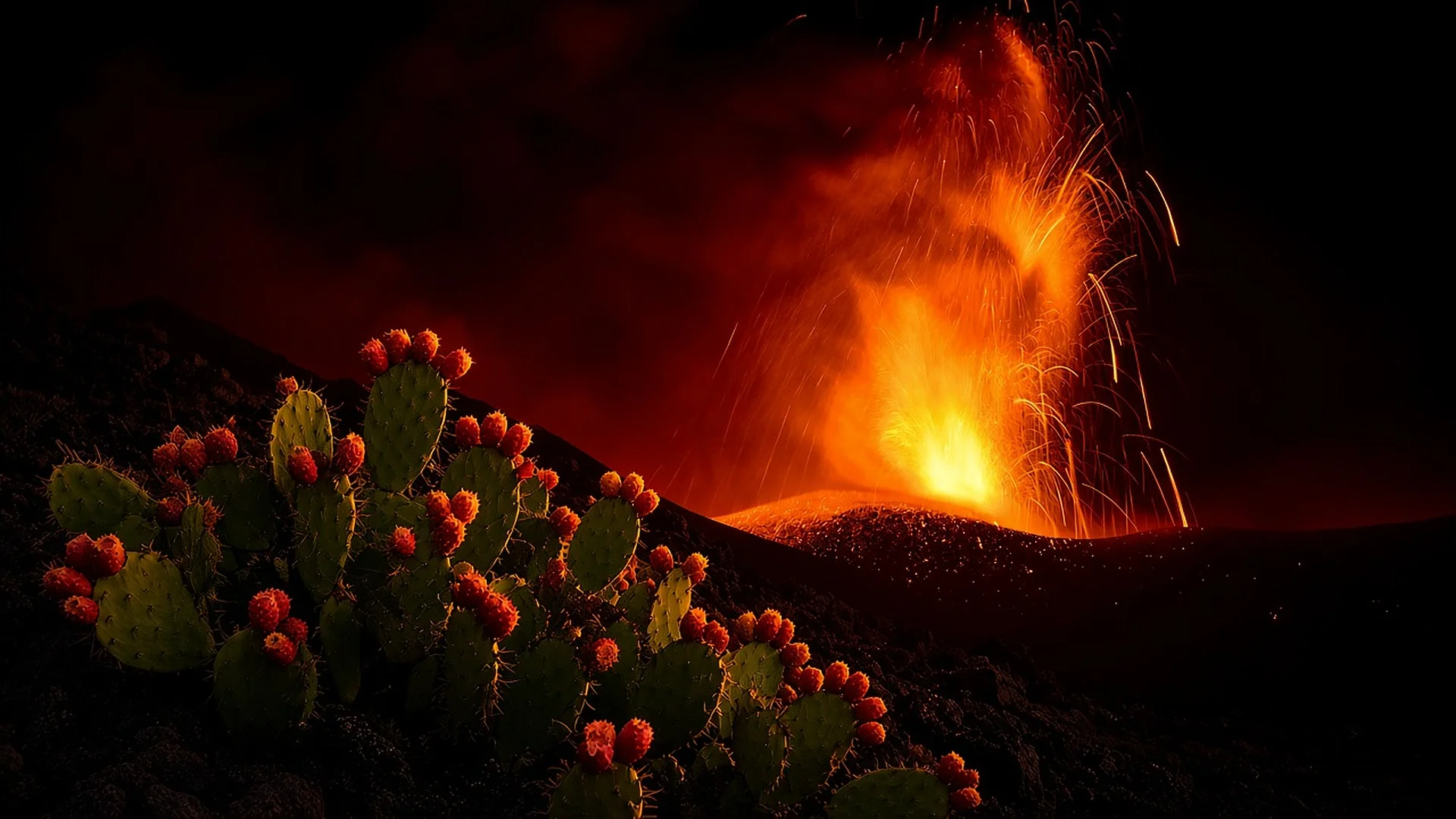 L’Etna in eruzione dietro i fichi d’India (Opuntia) in Sicilia